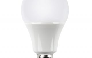 LED bulb